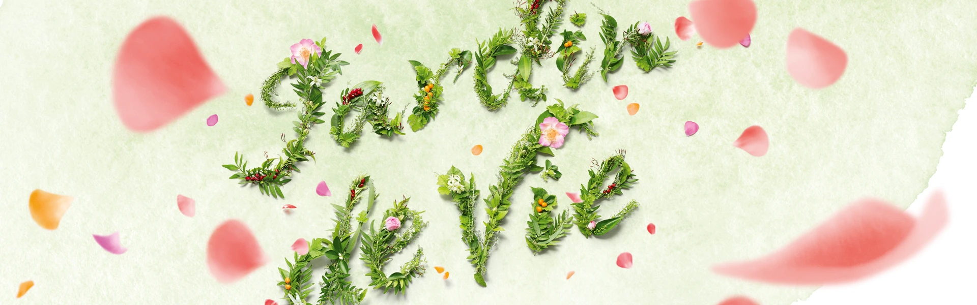 Jardin de Vie. Ein Schriftzug, auf einer hell grünen Aquarellfläche aus Blumen gelegt.