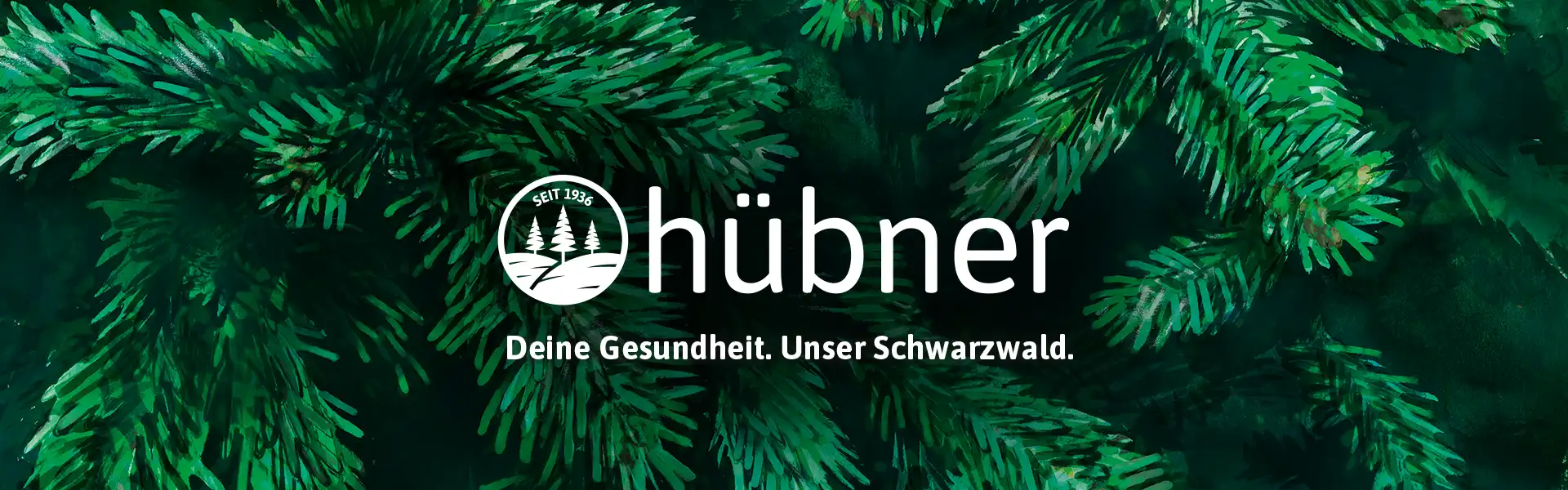 header Großer Header weißes Hübnerlogo auf dunkel Grünem Tannenhintergrund